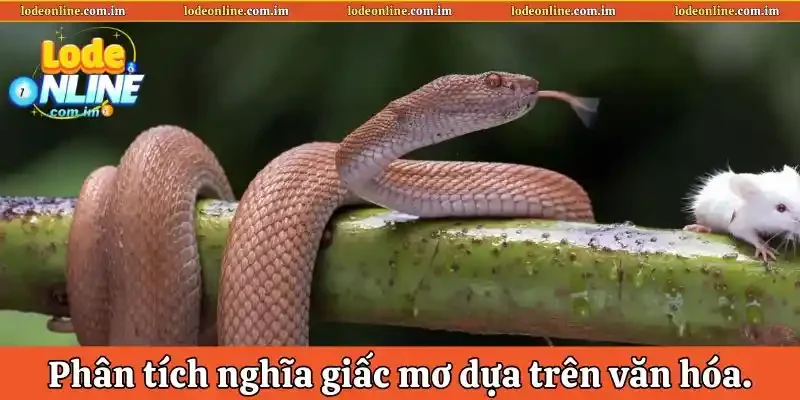 Phân tích nghĩa giấc mơ dựa trên kiến thức về văn hóa.