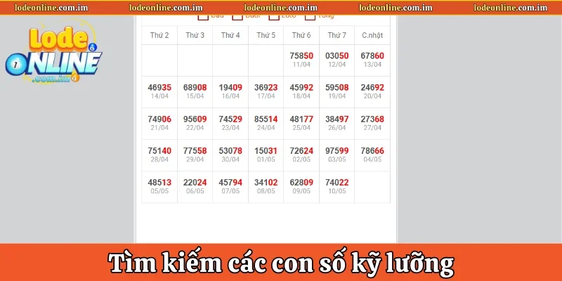 Tìm kiếm các con số kỹ lưỡng